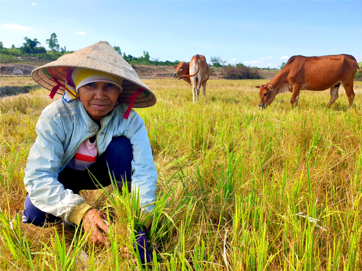 Sinh kế bền vững cho phụ nữ và thanh niên trong bối cảnh biến đổi khí hậu ở lưu vực sông Srêpôk (1/10/2020)